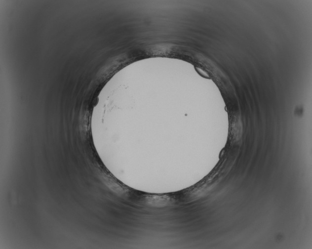 X0000096970525200803071009