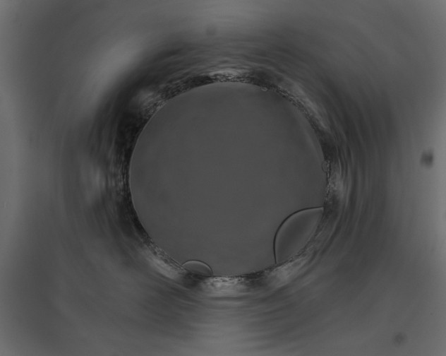 X0000096970526200803071009