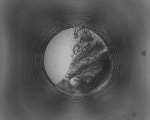 X0000096970527200803071009