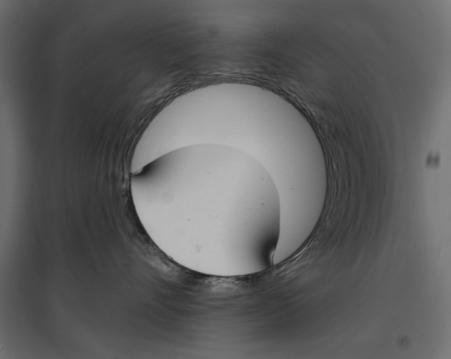 X0000096970528200803071009
