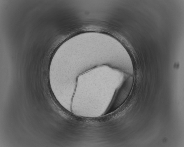 X0000096970529200803071008