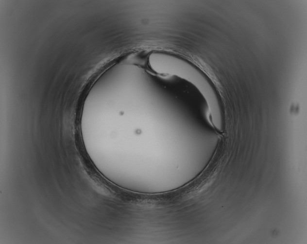 X0000096970530200803071008