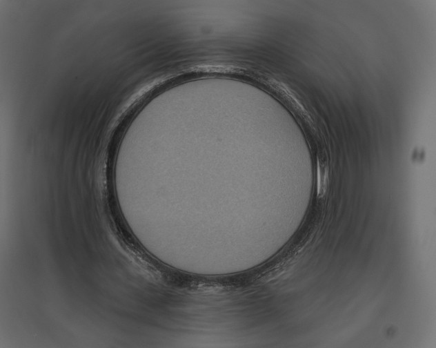 X0000096970531200803071008