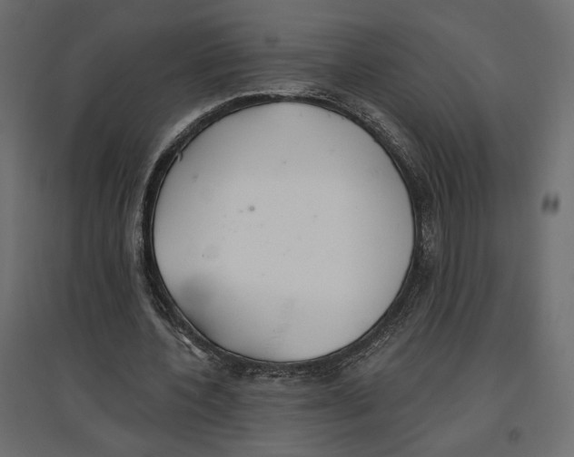 X0000096970532200803071008