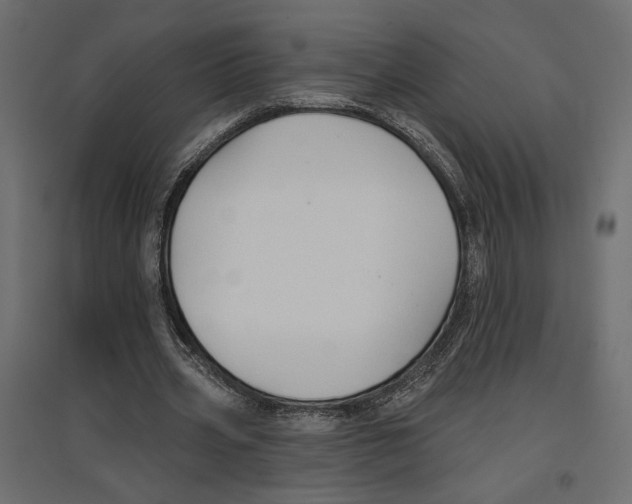 X0000096970533200803071008