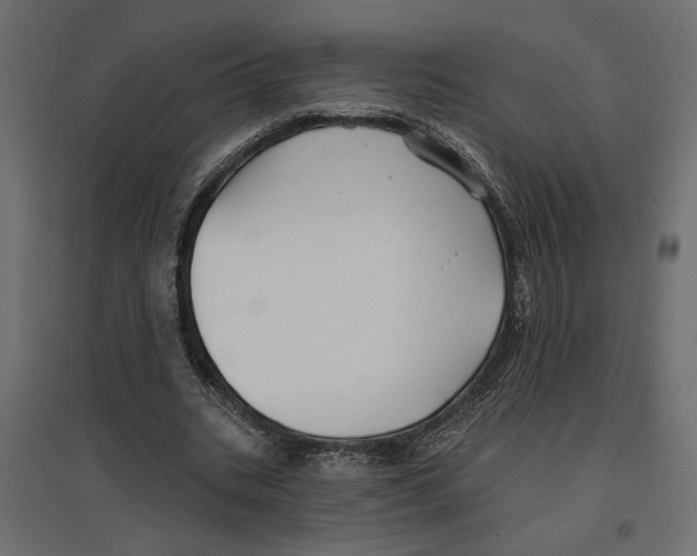 X0000096970535200803071008