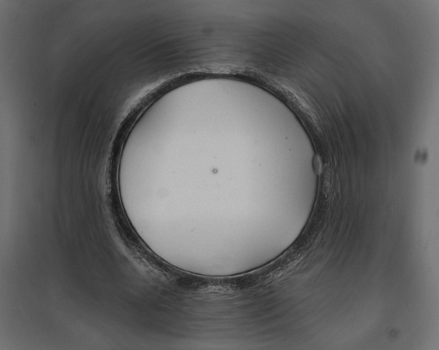 X0000096970536200803071008