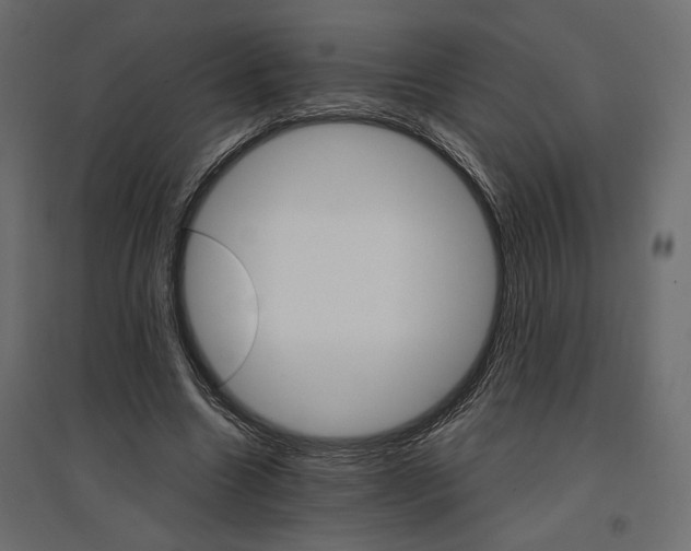 X0000096970538200803071008