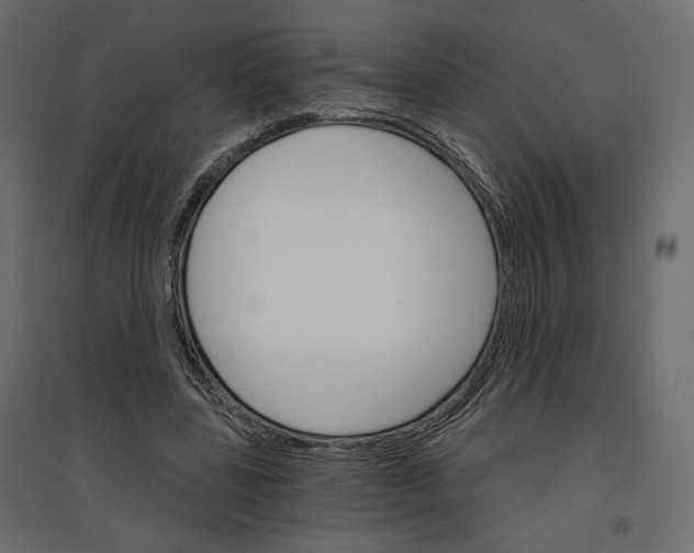 X0000096970539200803071008