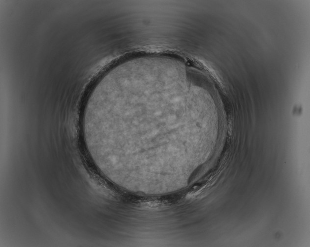X0000096970540200803071008