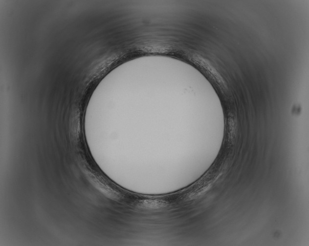 X0000096970541200803071008