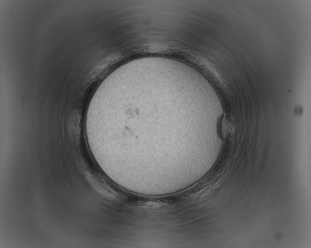 X0000096970542200803071008