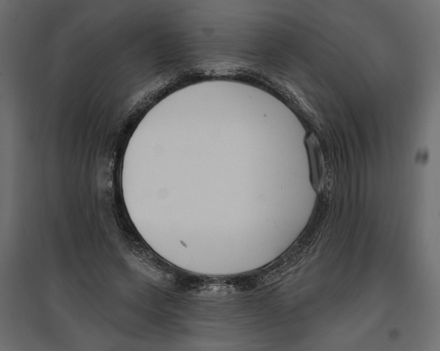 X0000096970543200803071008