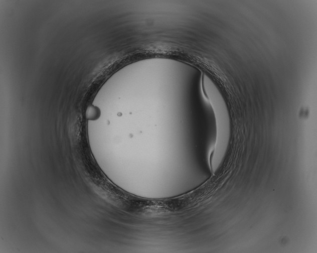 X0000096970544200803071008