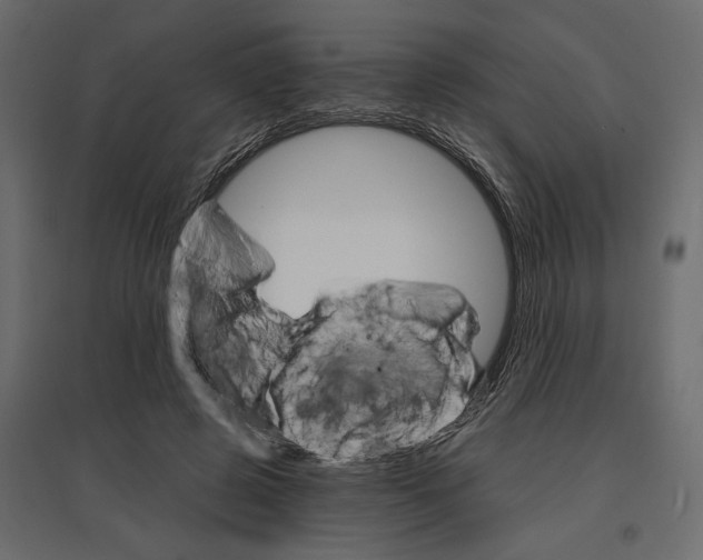 X0000096970545200803071008
