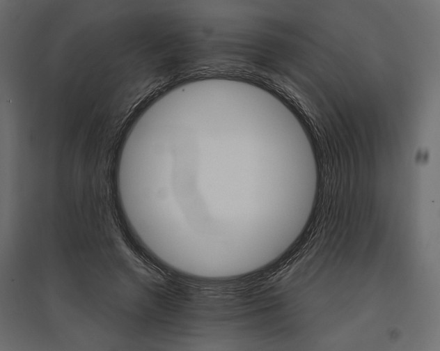 X0000096970546200803071008