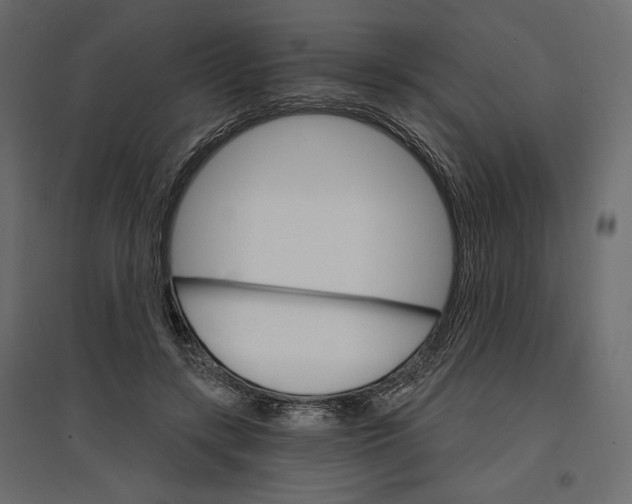 X0000096970547200803071008