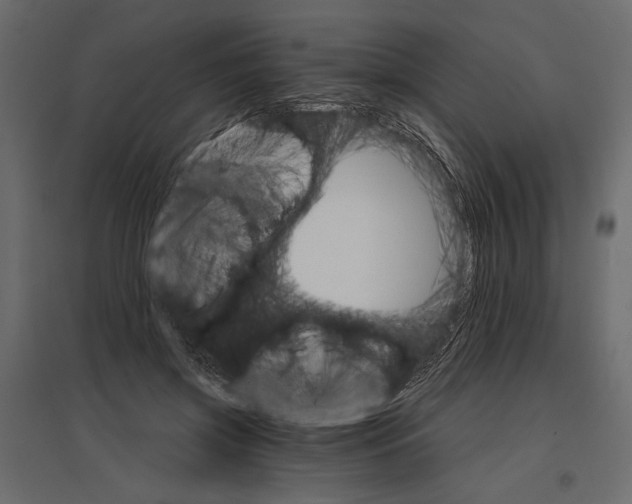 X0000096970549200803071008