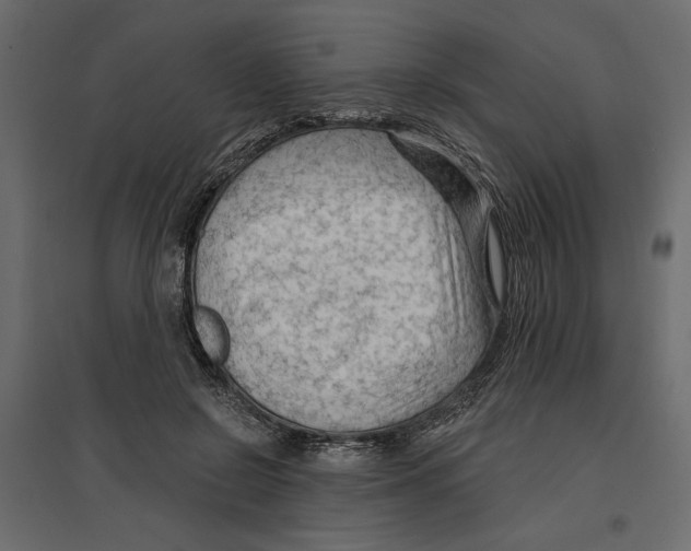 X0000096970550200803071008