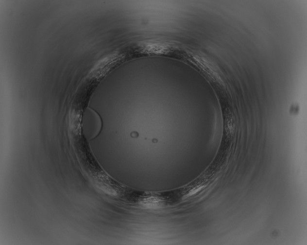 X0000096970551200803071008