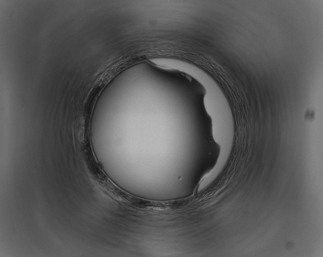 X0000096970552200803071008