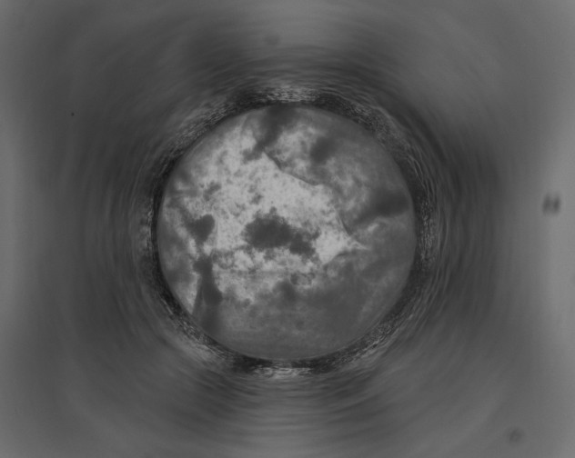 X0000096970553200803071009