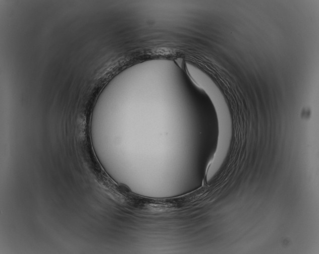 X0000096970556200803071009
