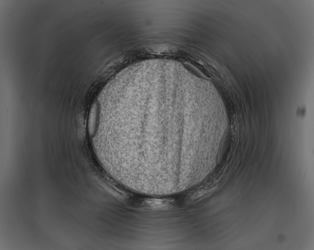 X0000096970558200803071009