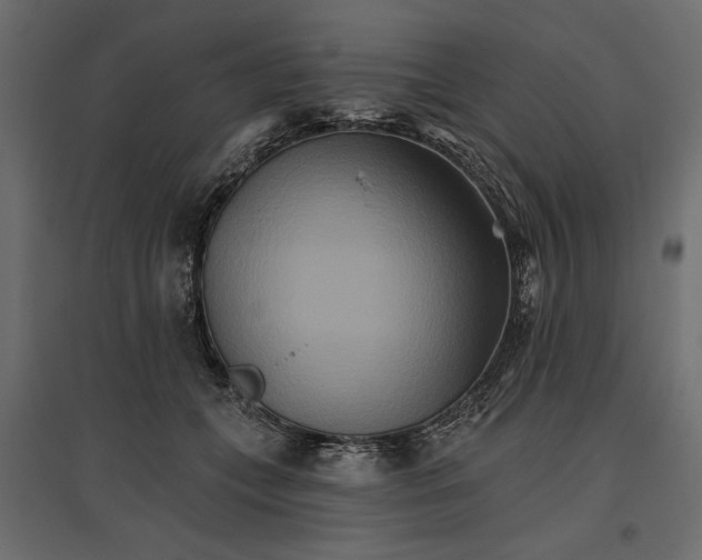 X0000096970559200803071009