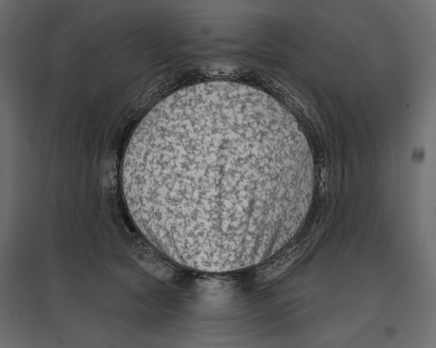 X0000096970561200803071009