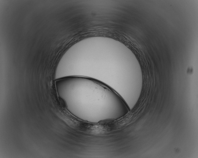 X0000096970562200803071009