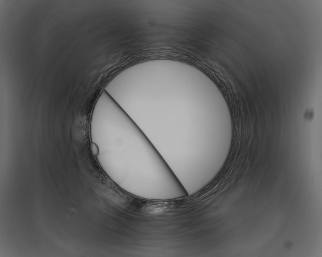 X0000096970563200803071009