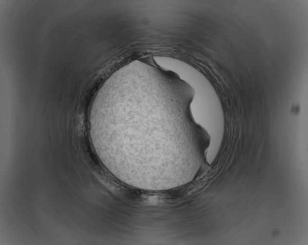 X0000096970564200803071009