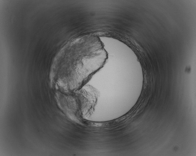 X0000096970565200803071009