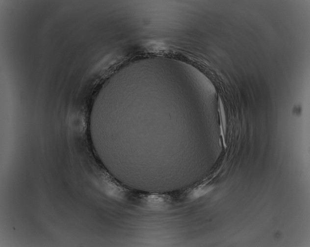 X0000096970566200803071009