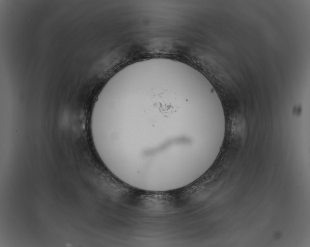 X0000096970567200803071009