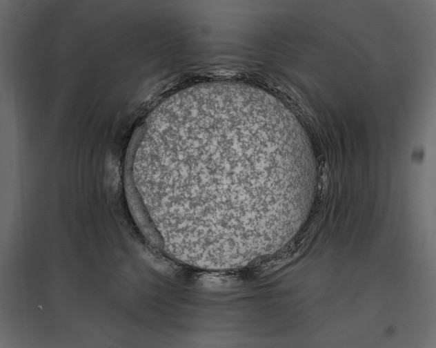 X0000096970568200803071009