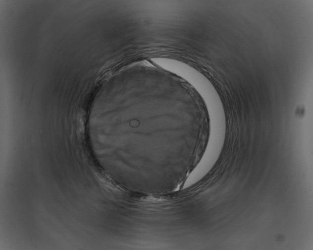 X0000096970570200803071009