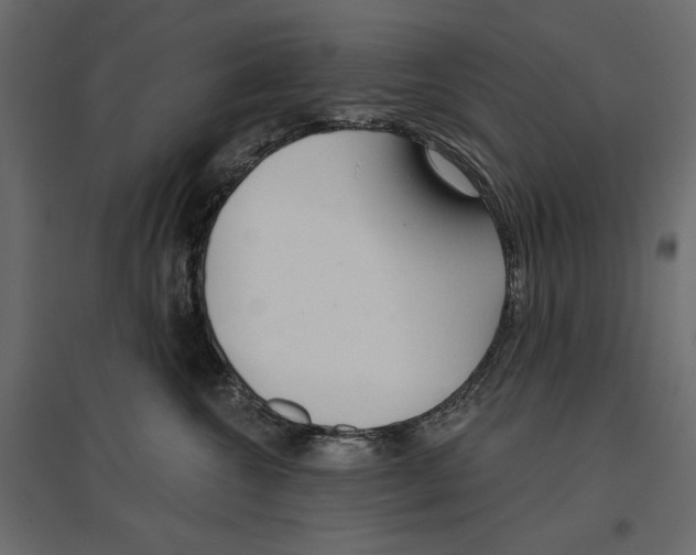 X0000096970572200803071009