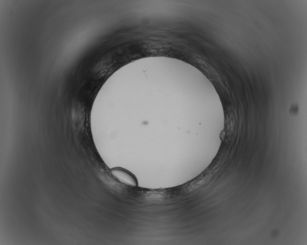 X0000096970574200803071009