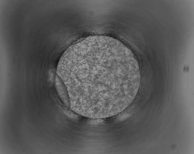 X0000096970576200803071009