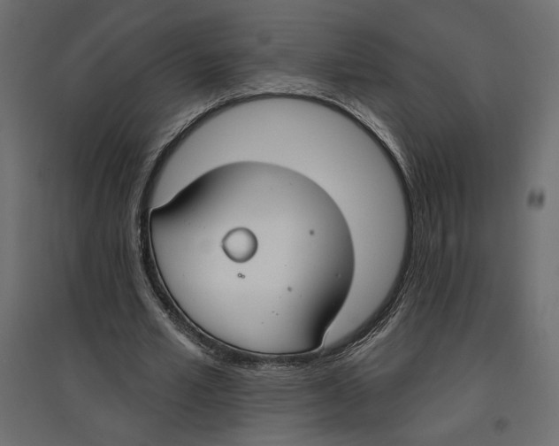 X0000096970581200803071008
