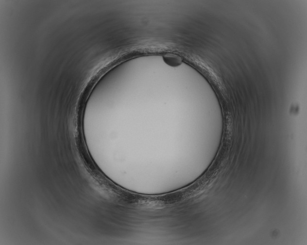 X0000096970582200803071008