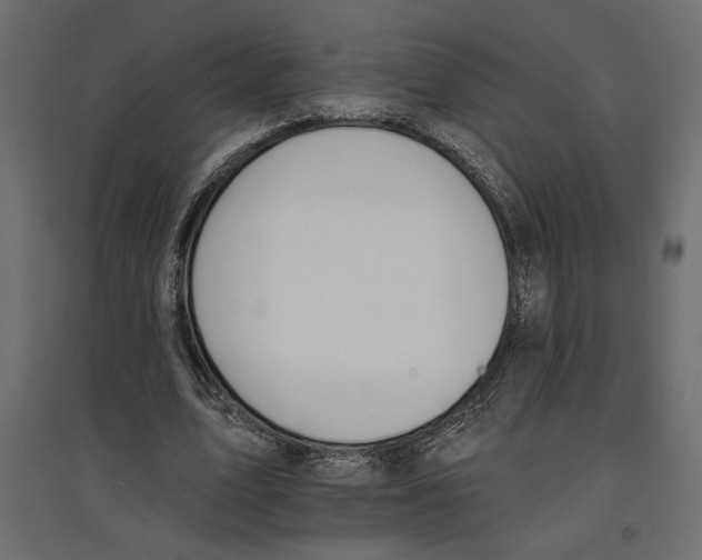 X0000096970583200803071008
