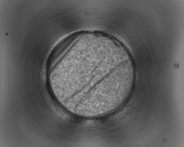 X0000096970584200803071008