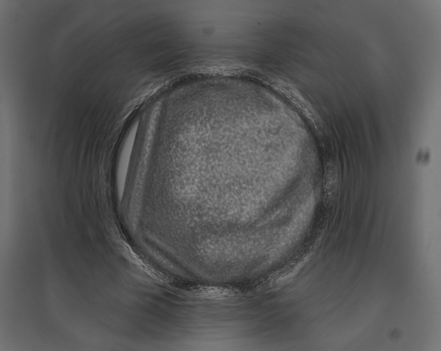 X0000096970585200803071008