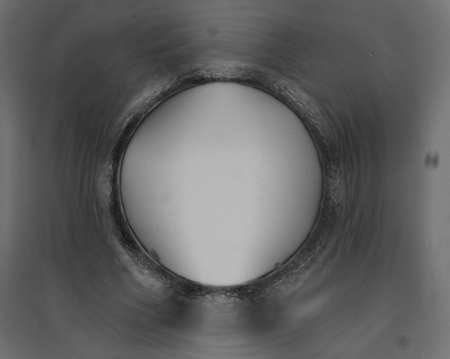 X0000096970586200803071008
