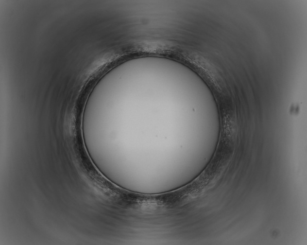 X0000096970587200803071008