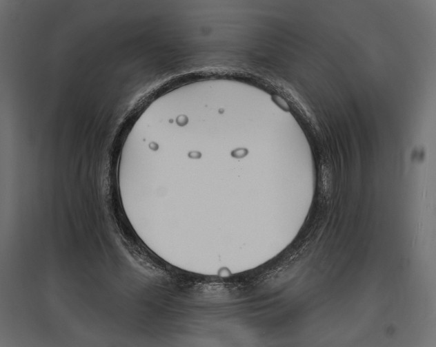 X0000096970588200803071008