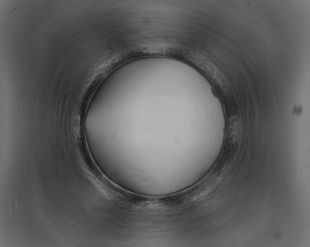 X0000096970589200803071008